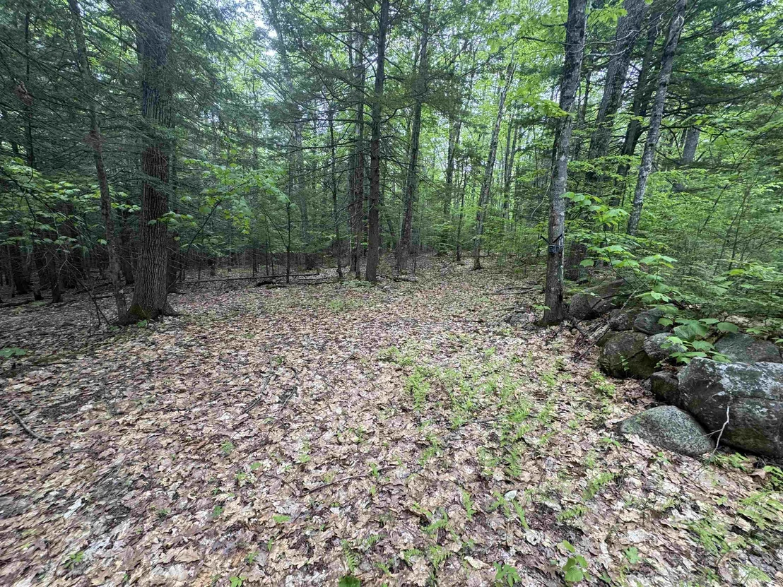 Photo of Lot 13 Beach Pond