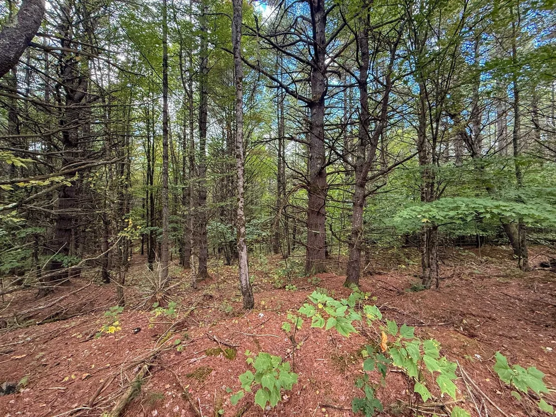 Photo of 526 New Hampshire Route 25c