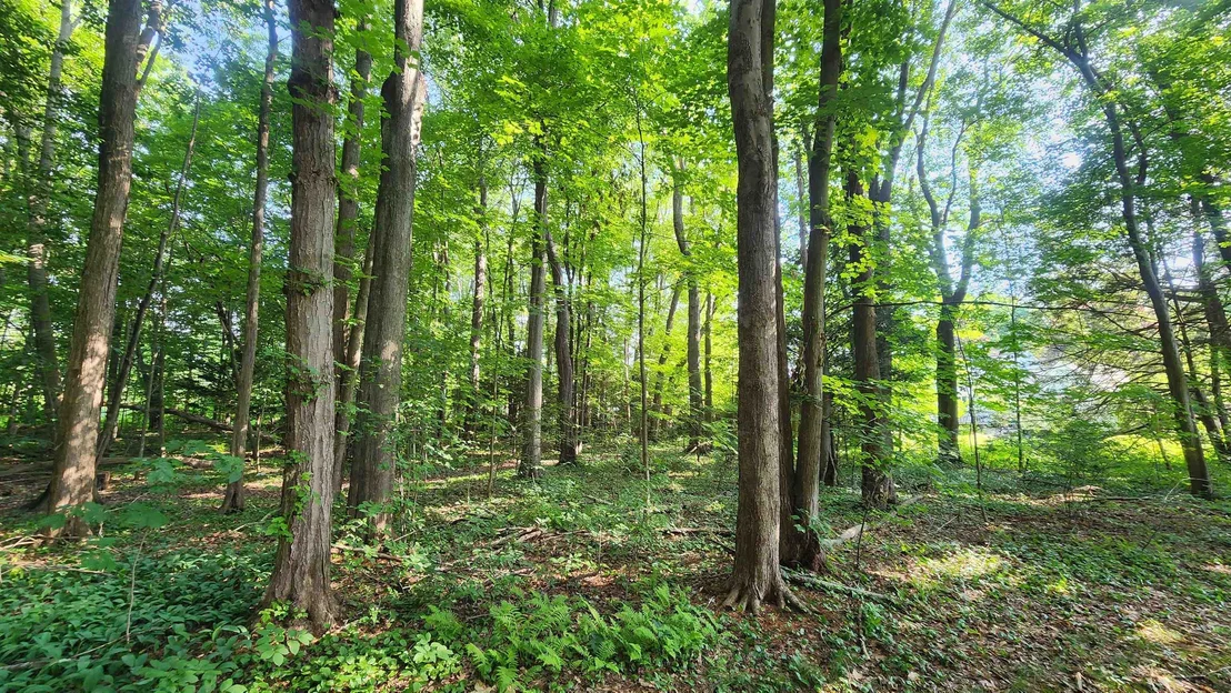 Photo of Unit MAP161LOT44 at Towle