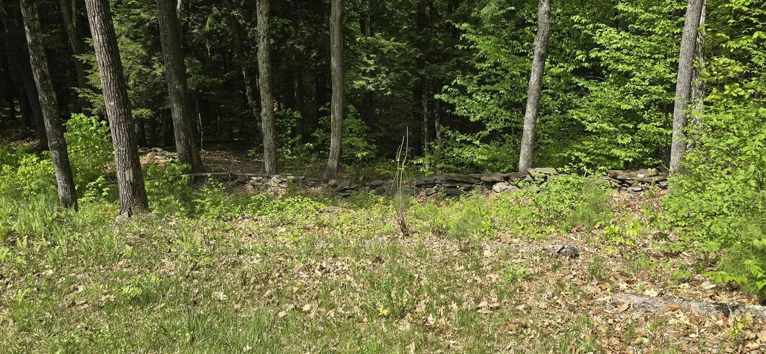 Photo of 96 Hawkwood