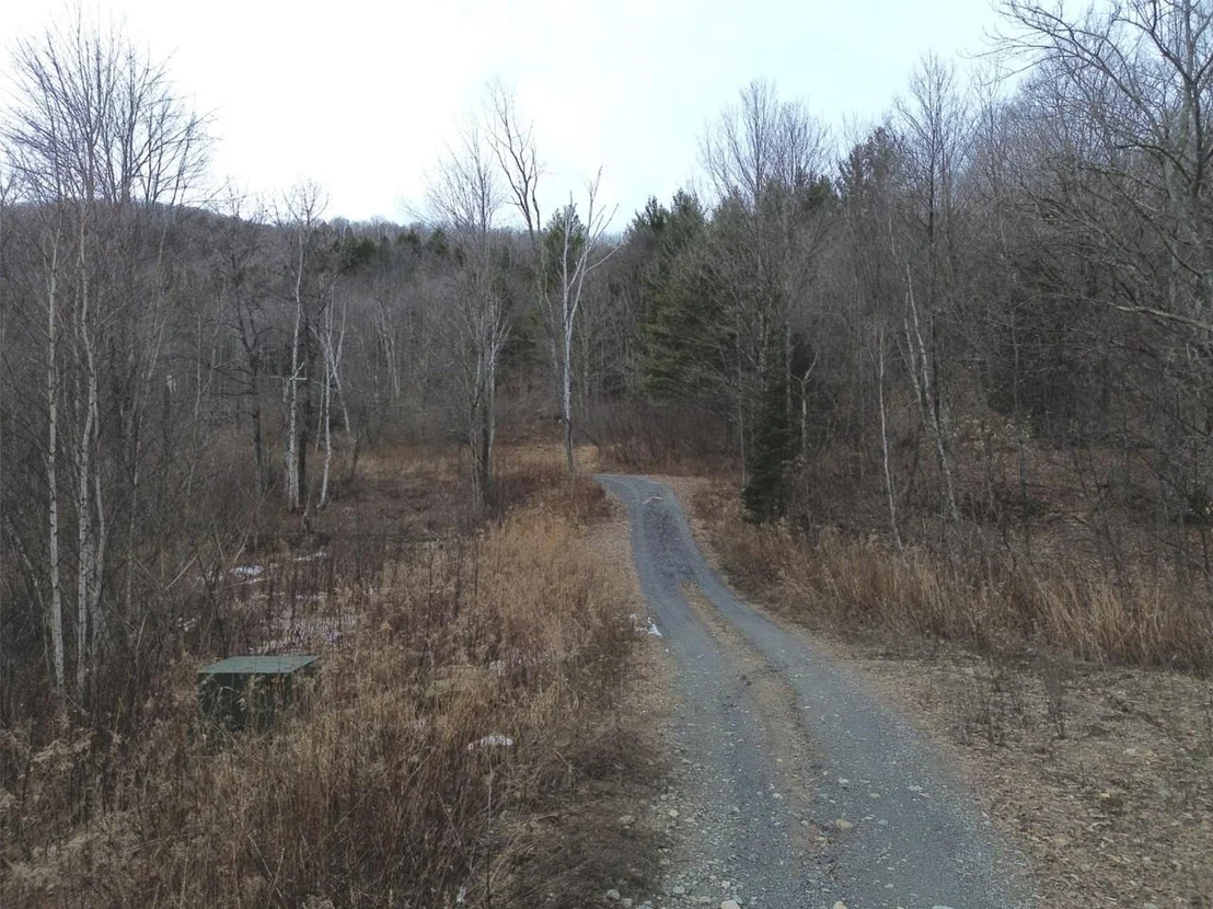 Photo of Unit 3 at 00 Bent Birch