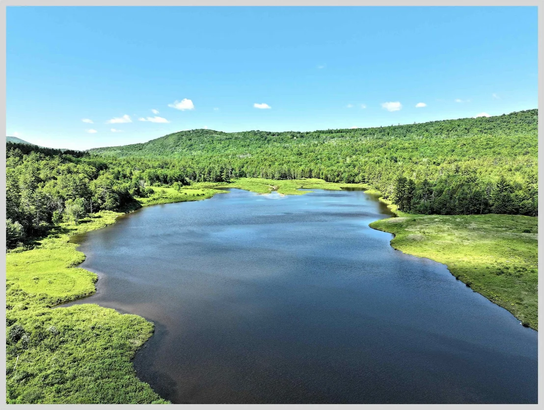 Photo of 206 River