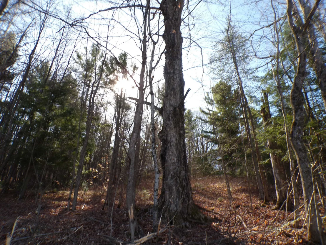 Photo of 440 Baird