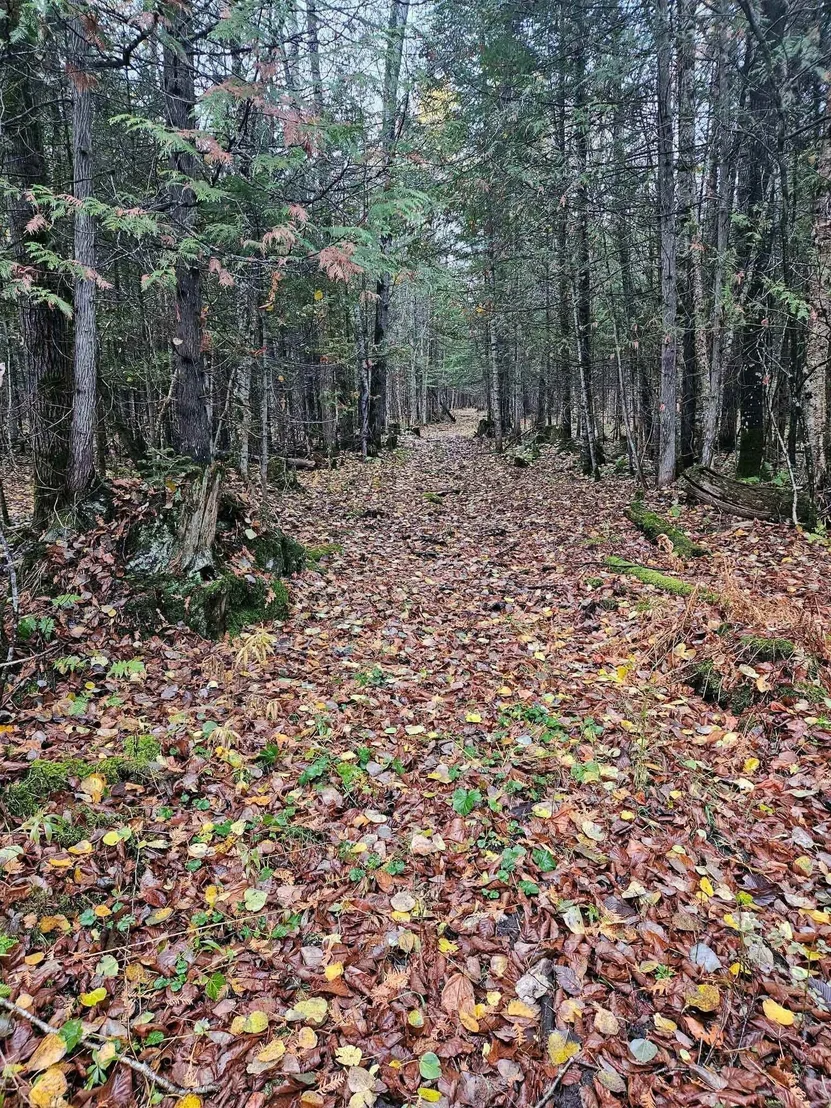 Photo of 2431 Roaring Brook