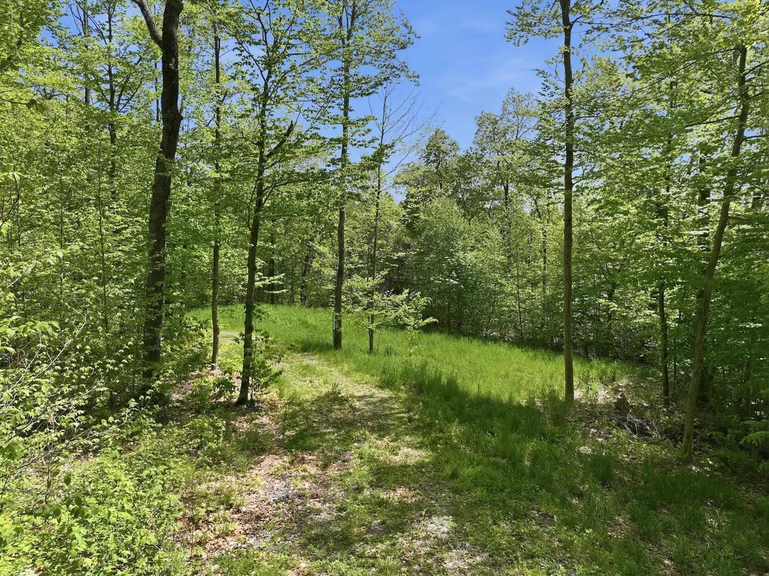 Photo of 189 Shagbark