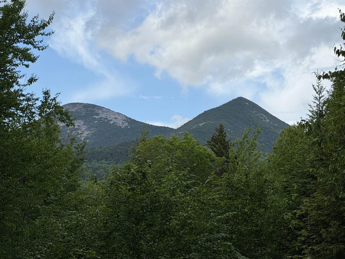 Photo of 299 Cloutier