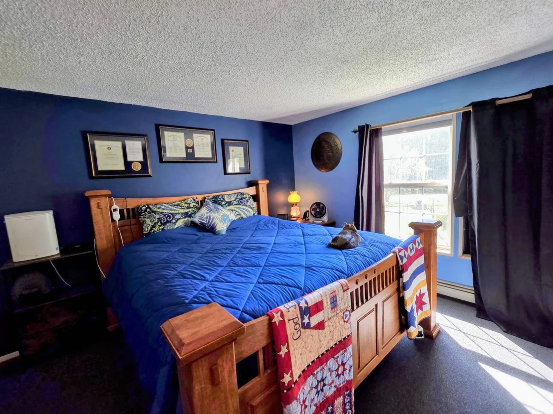 Photo of 255 Gray