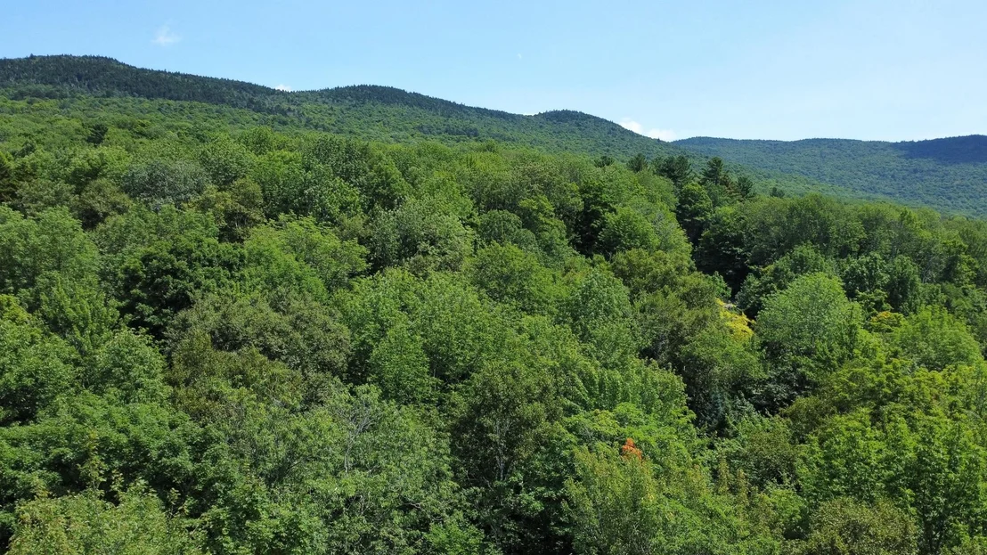 Photo of 00 Prickly Mountain