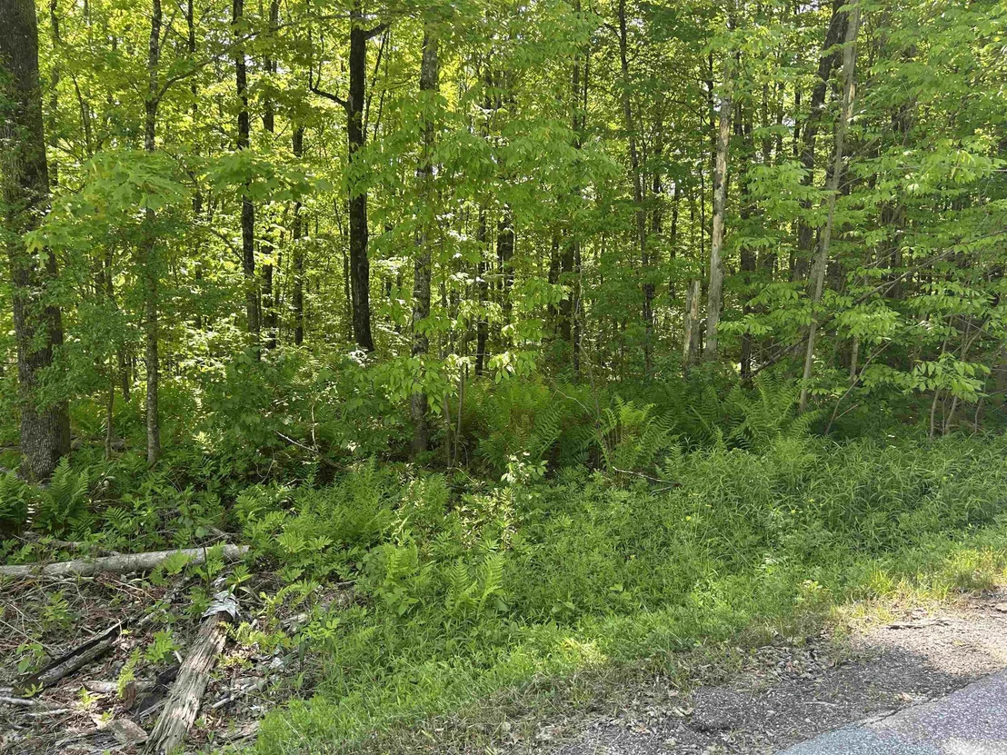 Photo of Lot 2 Pion