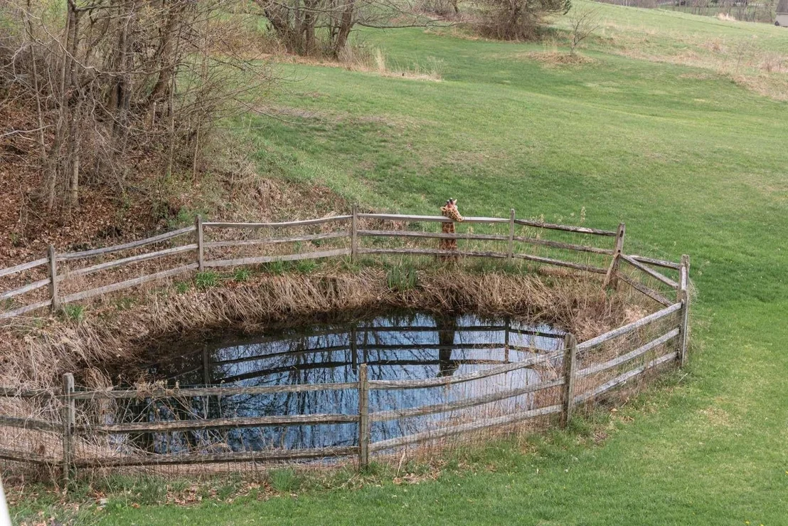 Photo of 62 Phelps