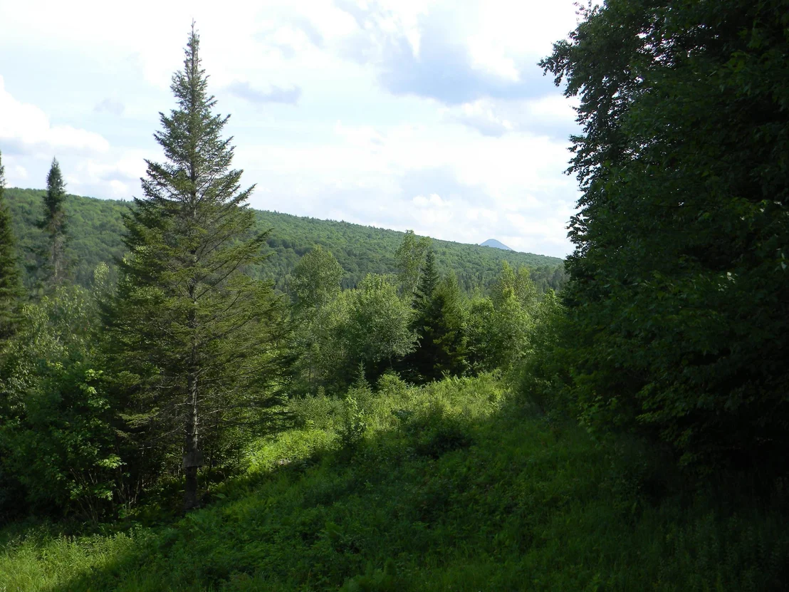Photo of 24 Nash Stream