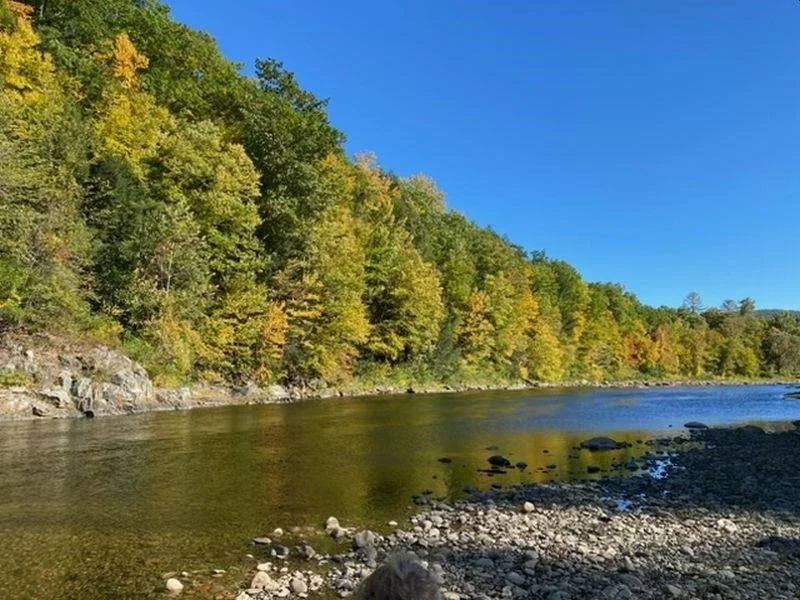 Photo of 3333 West River