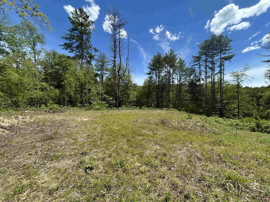 Photo of 14 Sugar Lot
