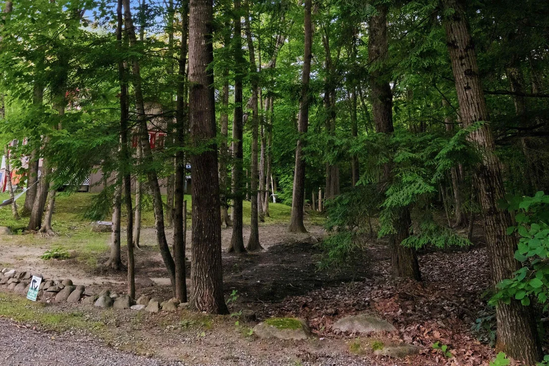 Photo of 55 Mountain View