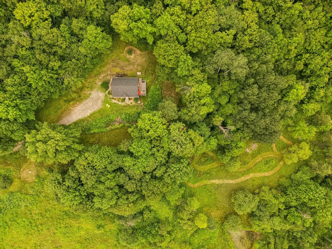 Photo of 167 Limey