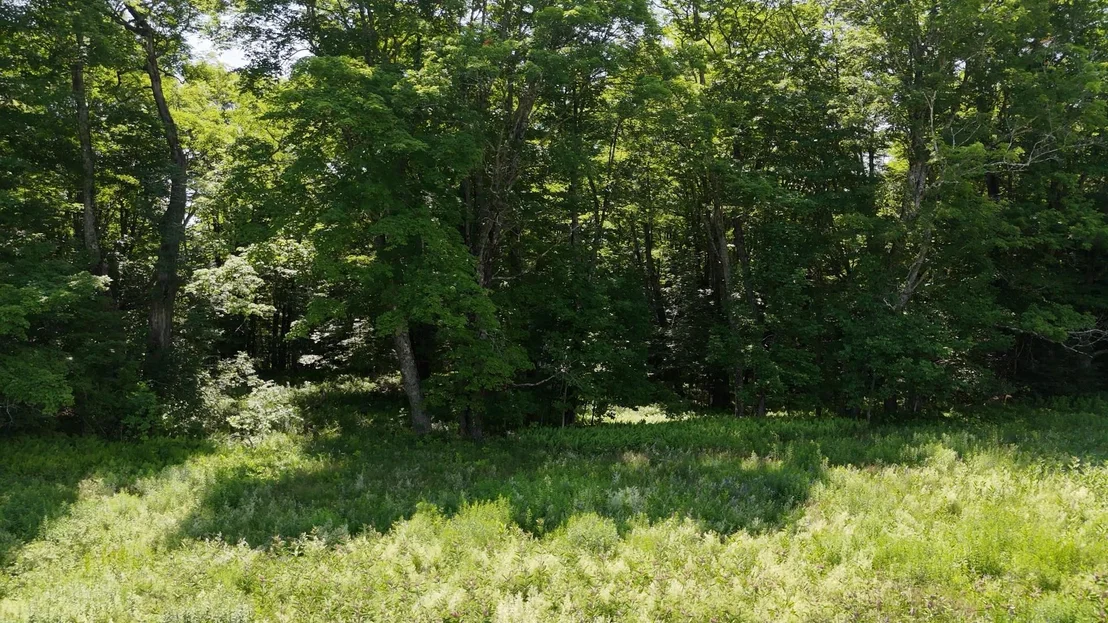 Photo of 00 Old Farm