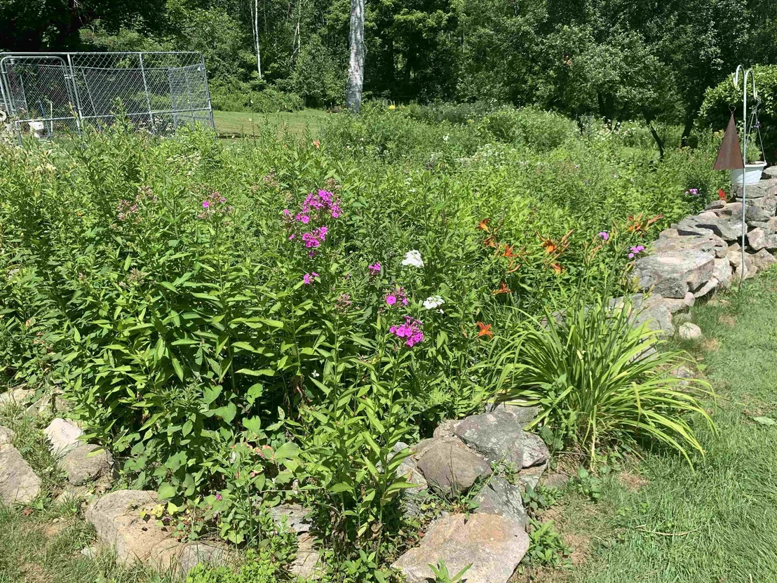 Photo of 27 Bear Pond