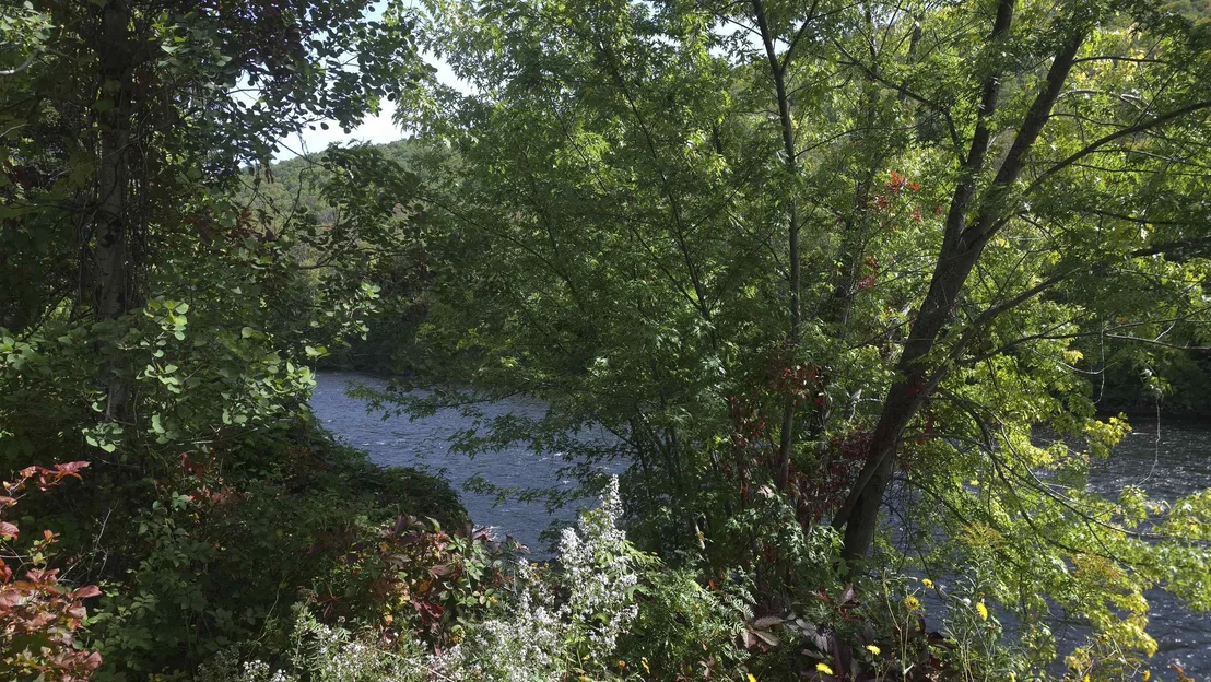 Photo of 24 Cascade