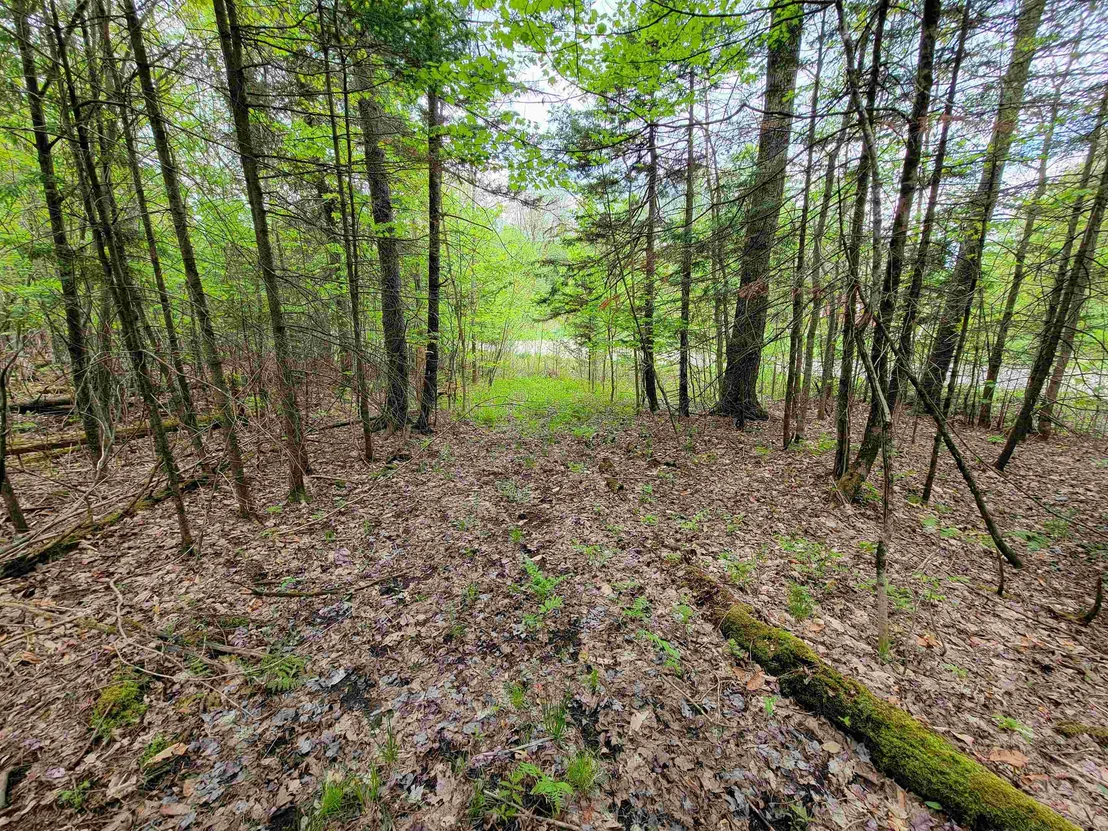 Photo of 660 Brookview
