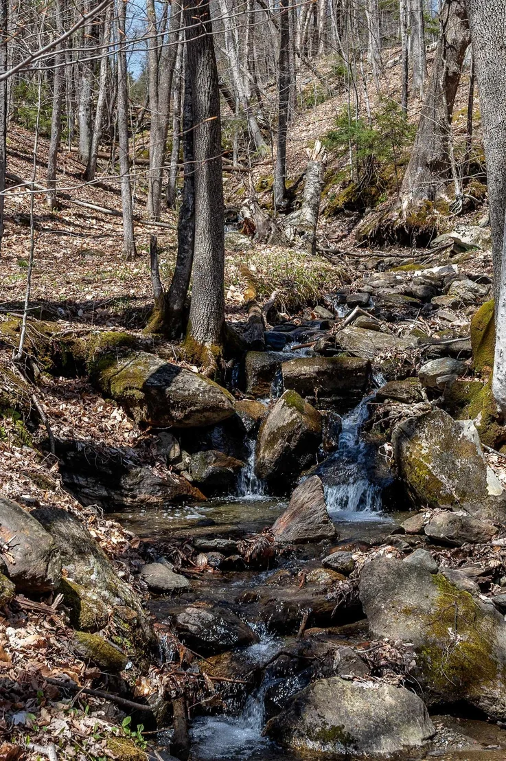Photo of 29 Schoolhouse Brook