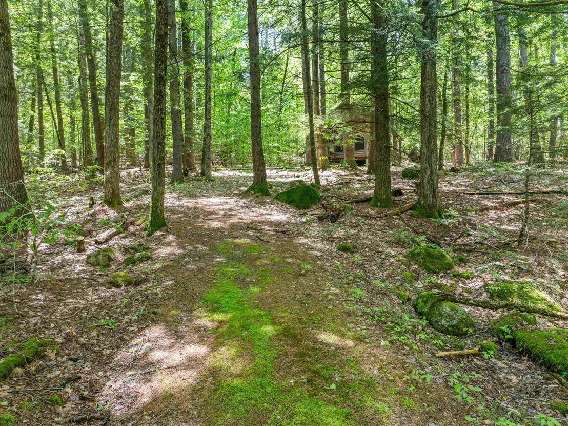 Photo of 47 Forest Pond
