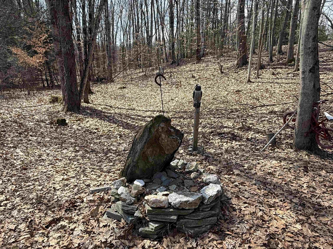 Photo of 74 Dutton District