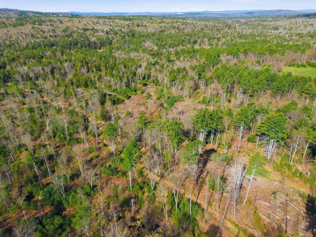Photo of Unit MAP8LOT28 at 87 Bear Hill