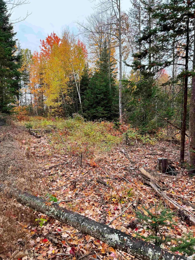 Photo of 408-105 Evergreen
