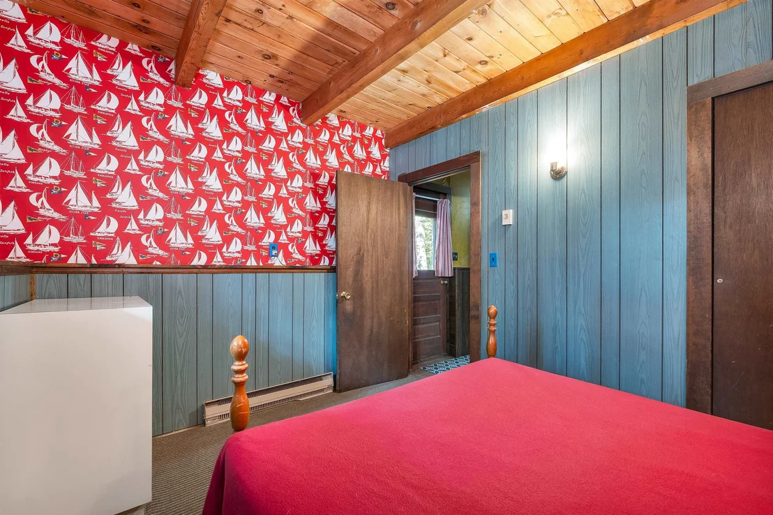 Photo of 49 Kings Pine