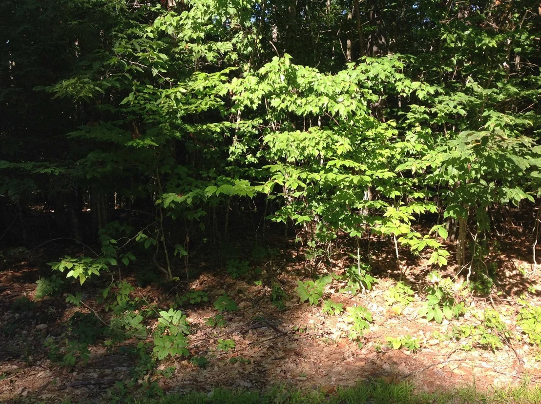 Photo of 29 Stoneview