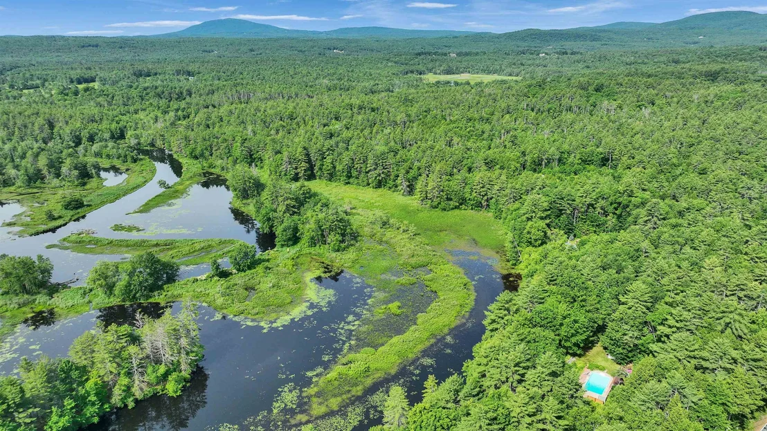 Photo of 261 Forest