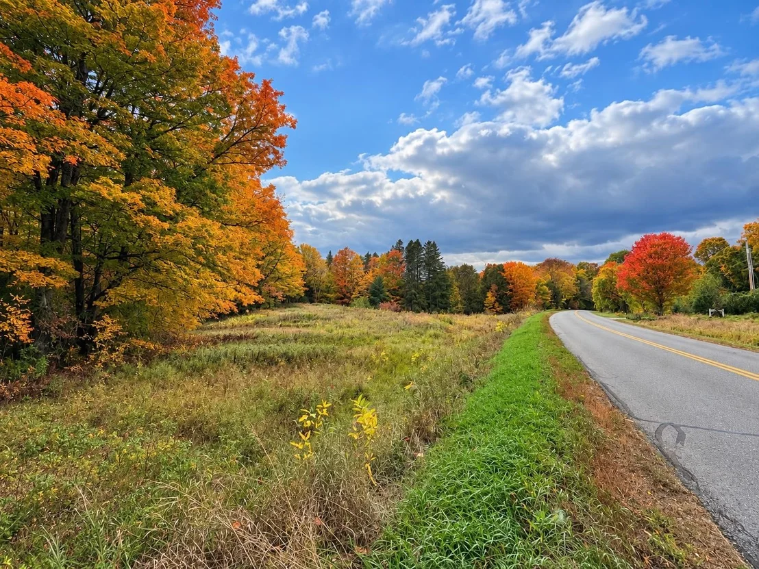 Photo of 00 Old Farm
