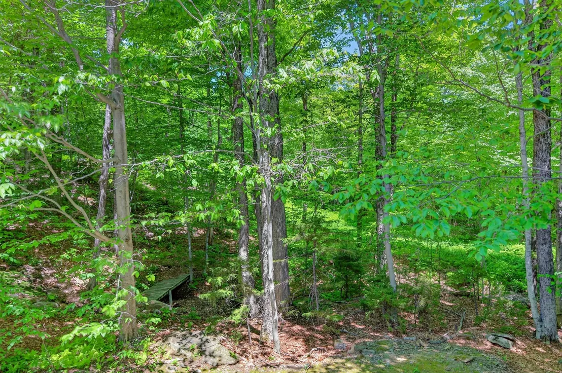 Photo of 36 Bears Den