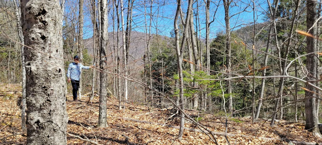 Photo of Unit 7 at 7 Spring Hill