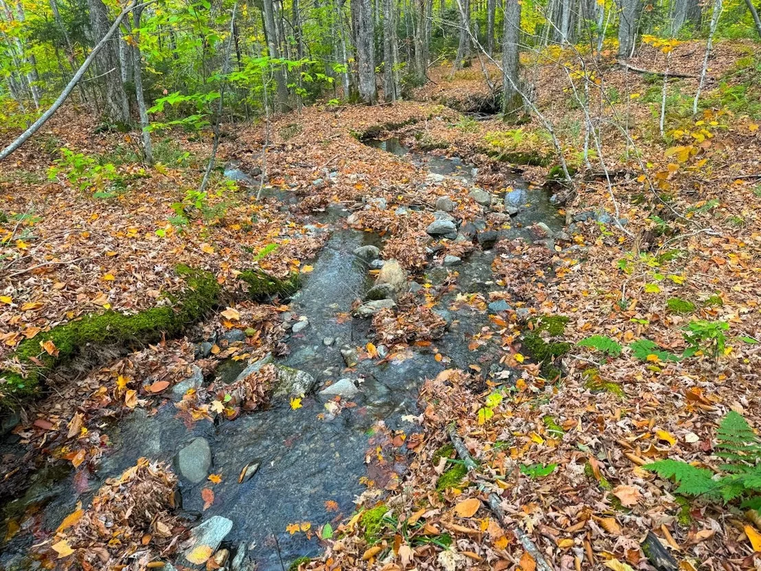 Photo of 0 Cider Mountain