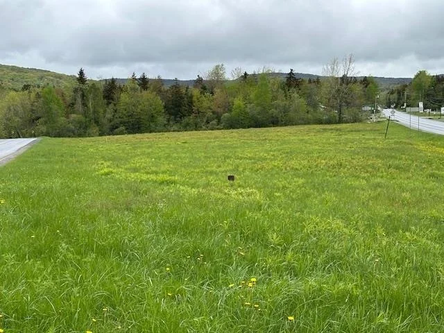 Photo of 309 VT Route 100
