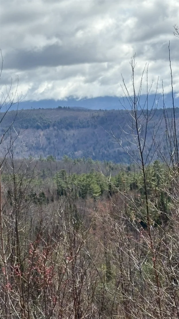 Photo of Unit LOT3 at 0 Oregon