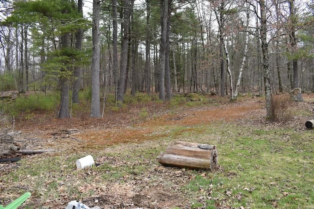 Photo of 133 Mount Delight