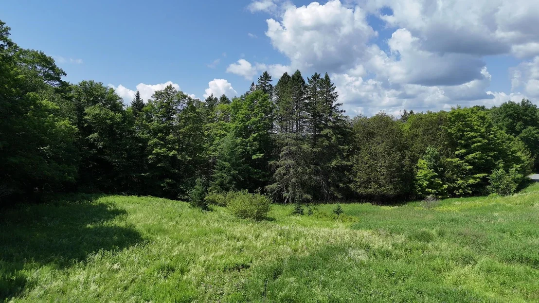 Photo of 00 Old Farm