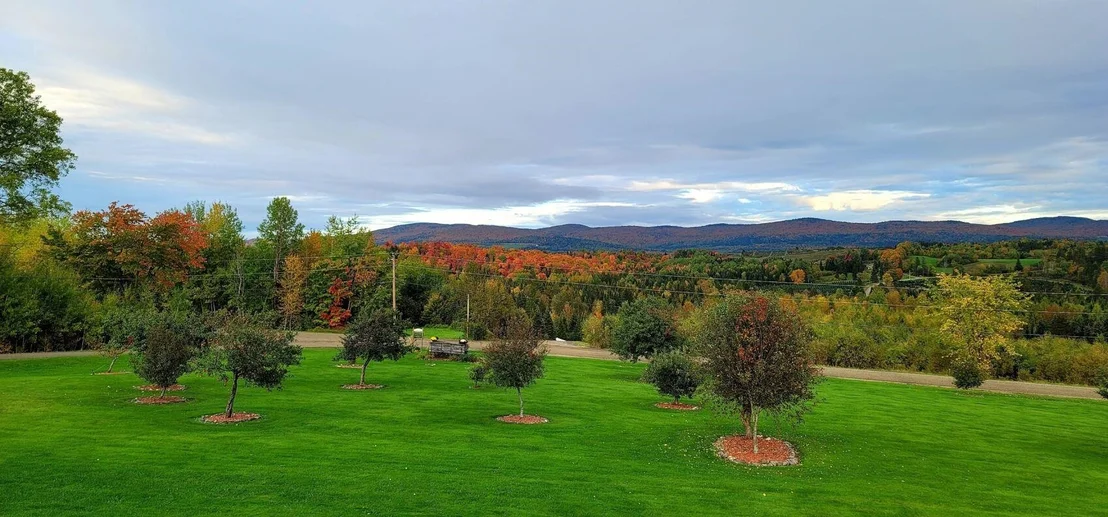 Photo of 794 Reed