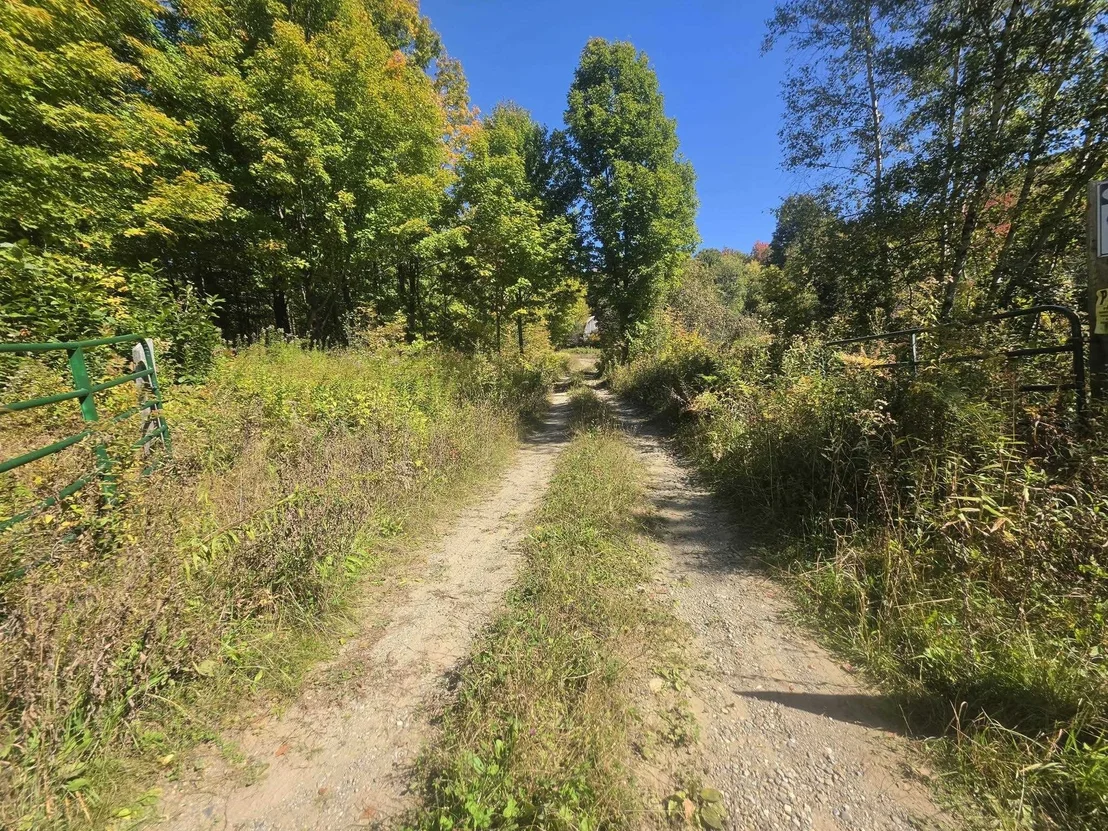 Photo of 689 Black Falls