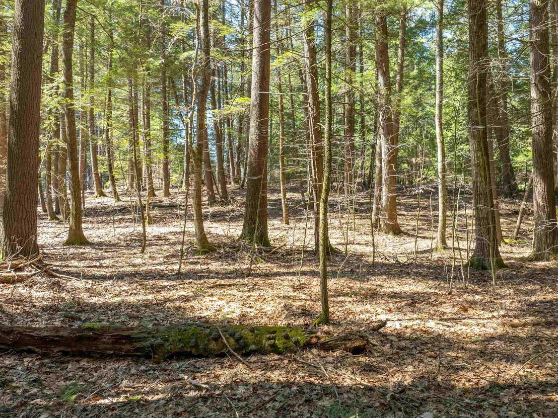 Photo of 00 Morrill Bend