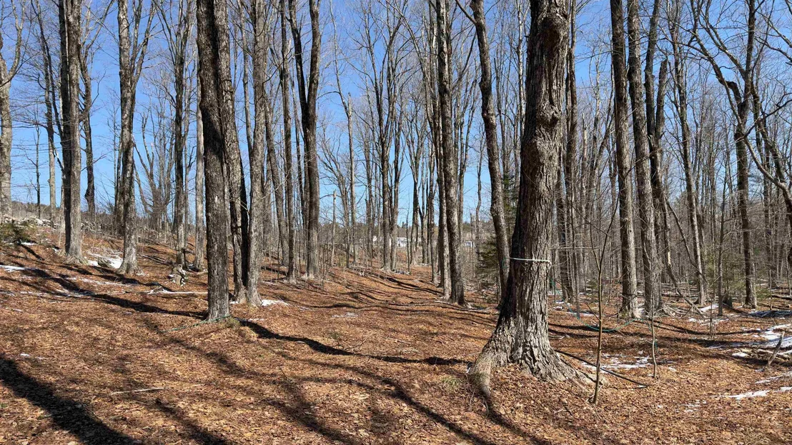 Photo of 2245 Burrington Hill