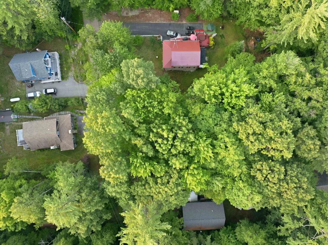 Photo of 55 Mountain View