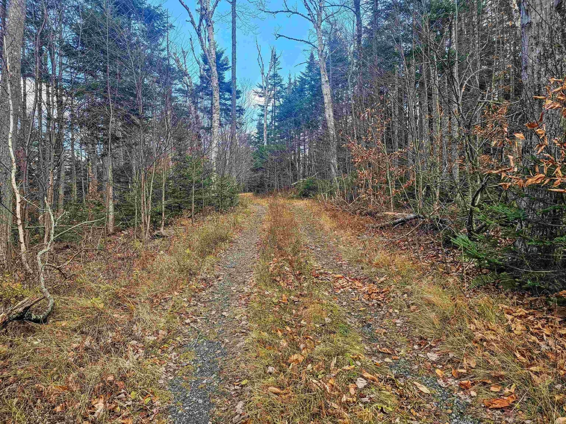 Photo of 706 VT Route 100