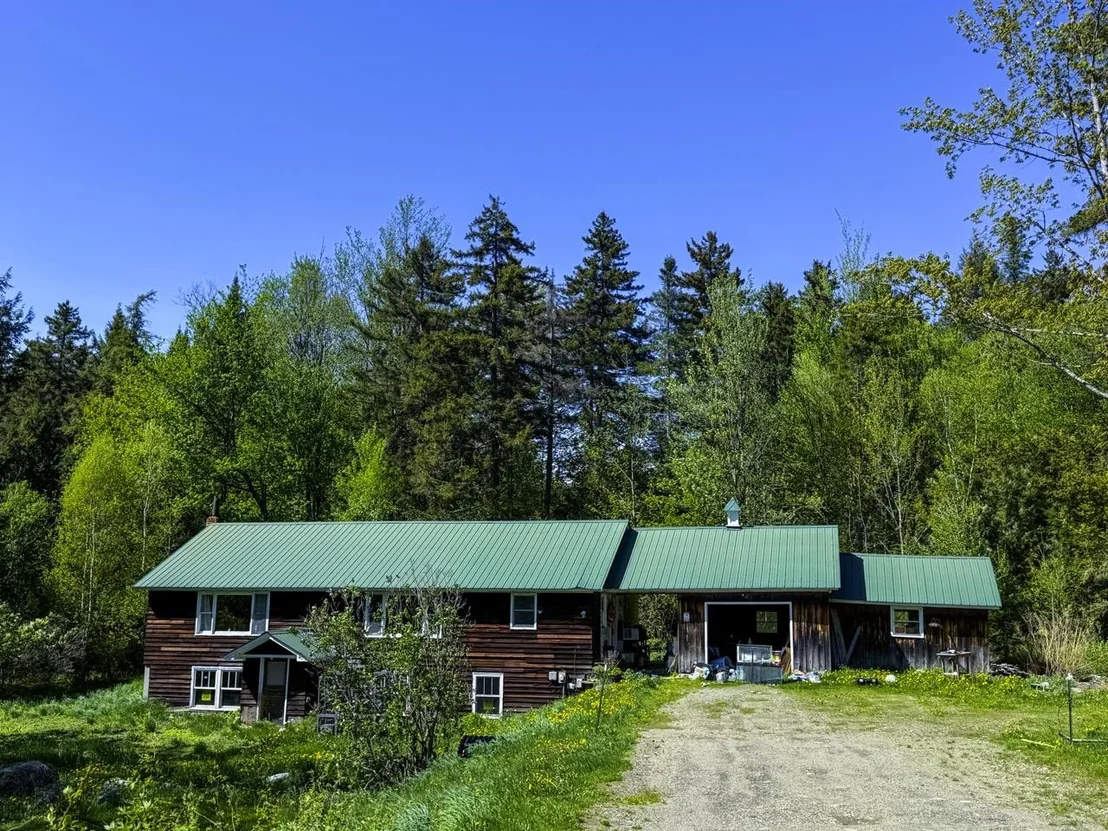 Photo of 297 Robinson