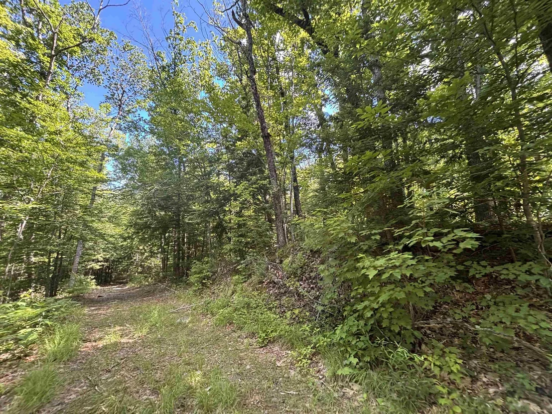 Photo of 00 Windfall