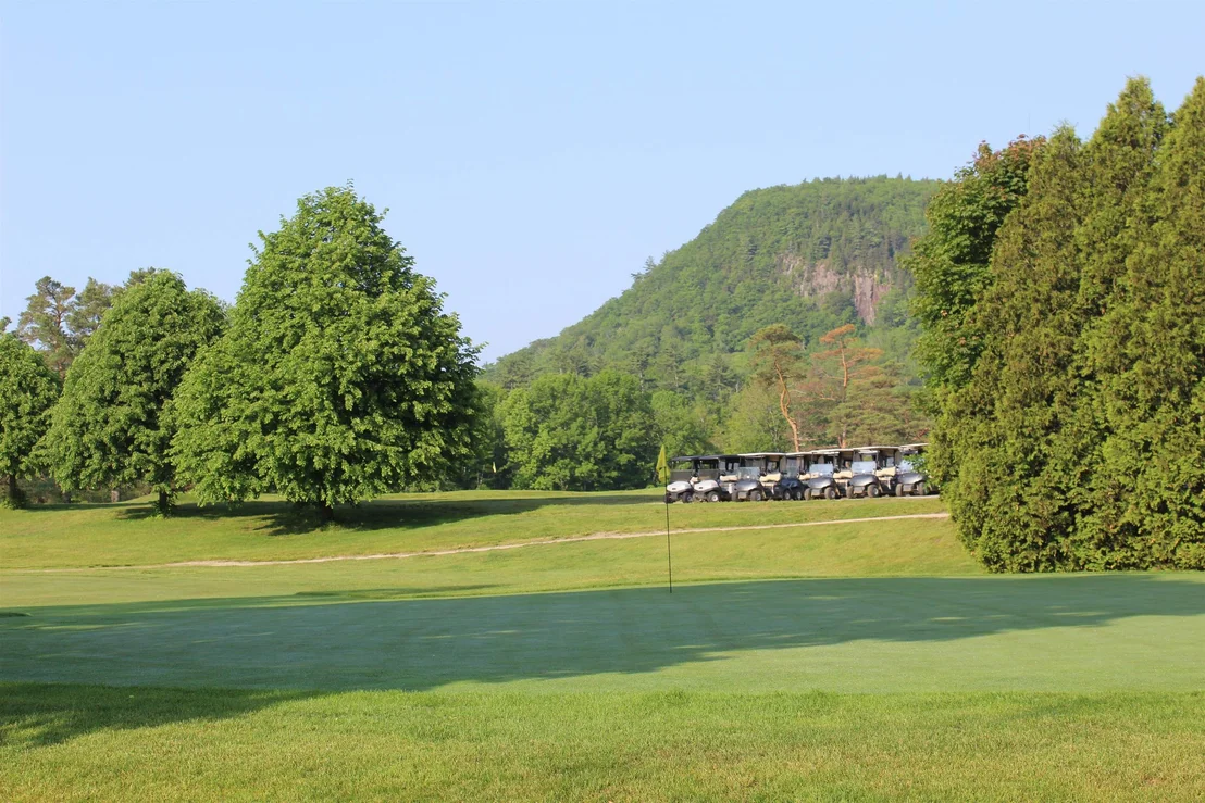 Photo of 17 Poplar
