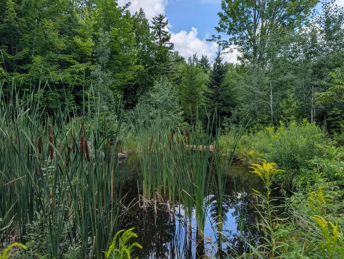 Photo of 195 Taft Brook