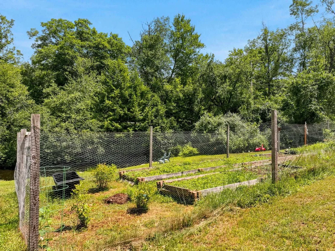 Photo of 40 Mill